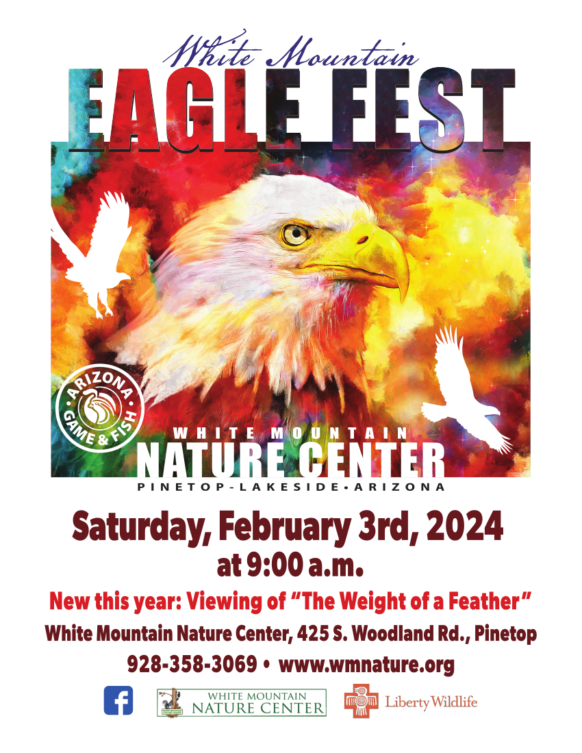 Eagle Fest Feb. 3 White Mountain Nature Center MOUNTAIN DAILY STAR