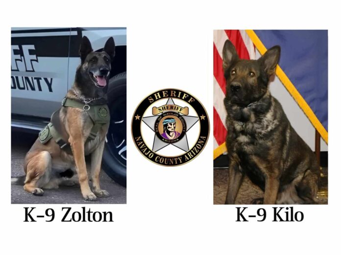 Navajo County Sheriff's Office K-9s Kilo and Zolton and their 2023 stats