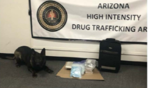 K-9 Kilo makes his first bust with NCSO