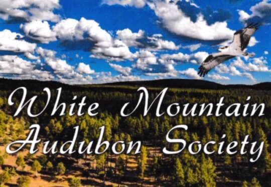 White Mountain Audubon Society