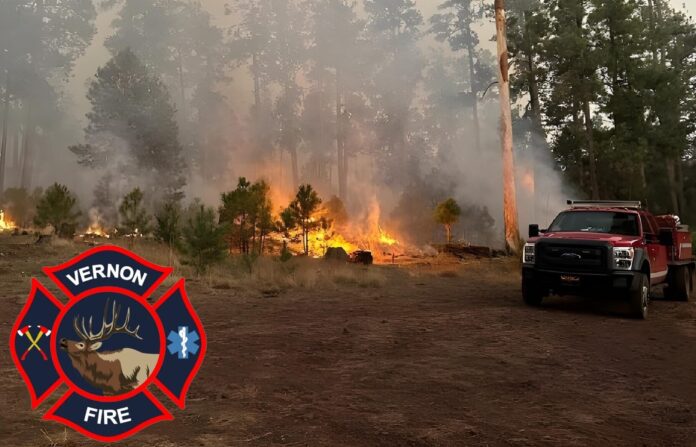 Vernon Fire District works on a wildfire