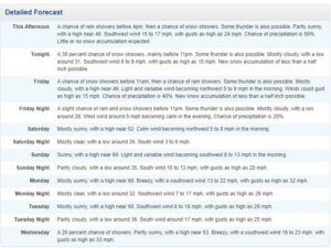 Show Low Weather Forecast