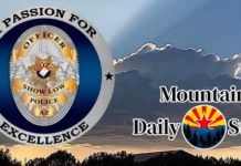 Five Arrested in Multi-Agency Operation Targeting Child Predators in Show Low