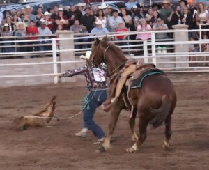 Calf Roping 2 MOUNTAIN DAILY STAR