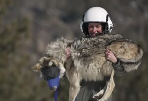 803e110f f3b1 4978 aa5b 1d4c24c73771 MOUNTAIN DAILY STAR