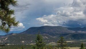 The Last Grizzly of Escudilla Mountain | The Case for Return APACHE COUNTY — In the summer of 1936, high on the shoulder of Escudilla Mountain near Alpine and Nutrioso, a government trapper killed the last grizzly bear in Arizona, 'Old Bigfoot.' Nearly ninety years later, new voices are calling to bring the grizzly back to Arizona. 83aded4f 56c5 416a ace0 3a2270f92c41 MOUNTAIN DAILY STAR