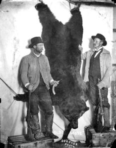 The Last Grizzly of Escudilla Mountain | The Case for Return APACHE COUNTY — In the summer of 1936, high on the shoulder of Escudilla Mountain near Alpine and Nutrioso, a government trapper killed the last grizzly bear in Arizona, 'Old Bigfoot.' Nearly ninety years later, new voices are calling to bring the grizzly back to Arizona. Old Mose Colorado MOUNTAIN DAILY STAR
