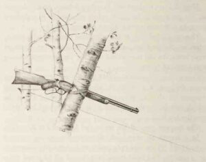 The Last Grizzly of Escudilla Mountain | The Case for Return APACHE COUNTY — In the summer of 1936, high on the shoulder of Escudilla Mountain near Alpine and Nutrioso, a government trapper killed the last grizzly bear in Arizona, 'Old Bigfoot.' Nearly ninety years later, new voices are calling to bring the grizzly back to Arizona. Screenshot Old Bigfoot MOUNTAIN DAILY STAR