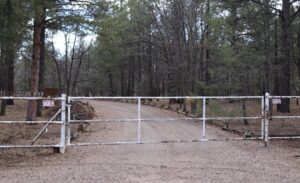 b491f431 31bb 4d53 a3a9 df13546a587a MOUNTAIN DAILY STAR