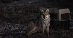 caed0c51 8413 4ca7 a59c 79ef2e1274ad MOUNTAIN DAILY STAR