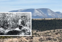 The Arizona Silvertip Grizzly Bear’s Last Stand