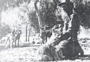 Benjamin Vernon Lilly with a young lion and his hounds MOUNTAIN DAILY STAR