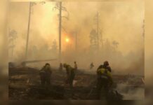 As Snowpack Declines, Northern Arizona Wildfires May Add to Warming