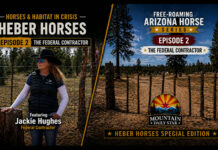 Free-Roaming Arizona Horse Series | Episode 2 | Horses & Habitat in Crisis