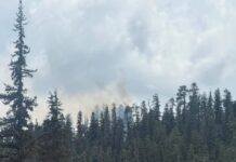 Divide Fire | Forward Progress Stopped