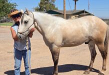 From the Apache National Forest to a Life of Purpose: Tiger’s Journey
