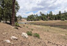 Judge Ties USFS Hands With Injunction | Apache Sitgreaves National Forests