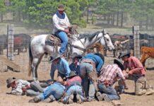 National Day of the Cowboy | Celebrating Those Who Built the West