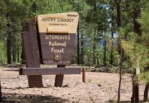 Lawsuit Tests Boundaries of Two National Forests