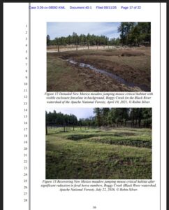 Center pic MOUNTAIN DAILY STAR