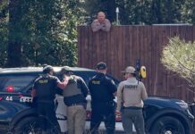 Tucson Man Arrested for Attempted Homicide | Stabbing in Show Low | Incident Videos