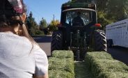 Willis Farm Harvest Festival | Snowflake, Arizona